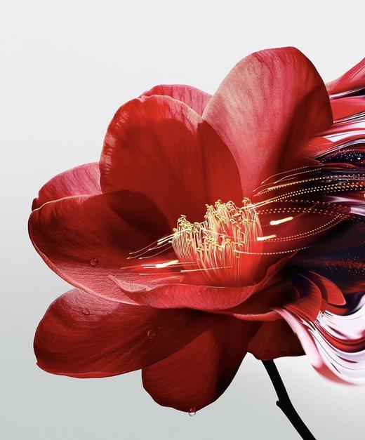 严选 | 资生堂第三代红腰子精华套盒75ml+10ml*6+赠礼盒 商品图4