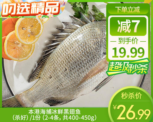 本港海捕冰鲜黑翅鱼（杀好）/1份（2-4条，共400-450g） 商品图0
