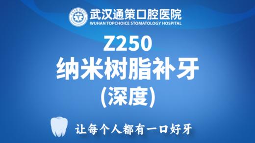 Z250纳米树脂补牙（重度蛀牙） 商品图0