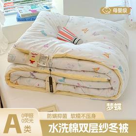 a类新款糯叽叽ins风双层纱水洗棉加厚冬被被子被芯