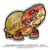 冰箱贴 龟主题⑧ 磁吸 Q版 卡通 箱龟题材 爬宠爬虫周边 super rep超爬正版【48小时发货】 商品缩略图5