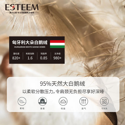 温莎传奇可水洗鹅绒枕 商品图3