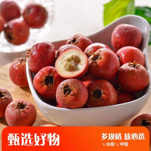 鲜山楂 商品图0