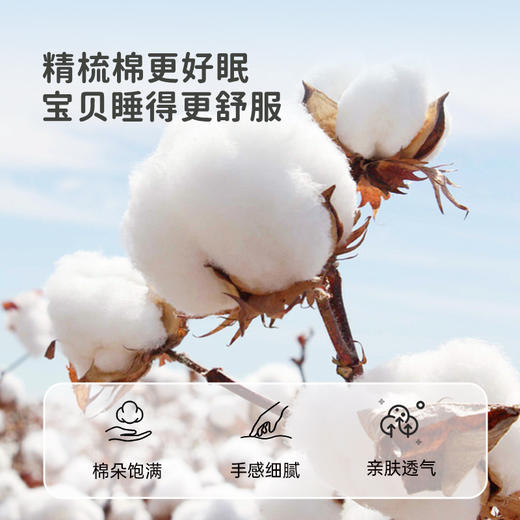 2025年新款雅芳婷卡通四件套全棉纯棉熊猫被套床笠款学生宿舍套件 商品图1