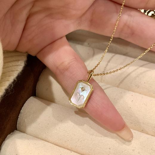 精致复古【arsis浮雕星座盾牌项链】盾牌设计加星座图样♈️自带轻复古和法式浪漫感的加成❤️给造型增加一点恰到好处的风格感 商品图3