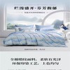 10楼 梦洁 高端床上用品 风之谷全棉印花四件套200*230 248*248 吊牌价1199-1399 活动价399-499 商品缩略图0