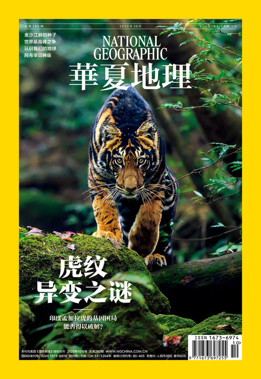 《华夏地理》杂志2025年10月刊-虎纹异变之谜 印度孟加拉虎的基因困局能否得以破解? 商品图0