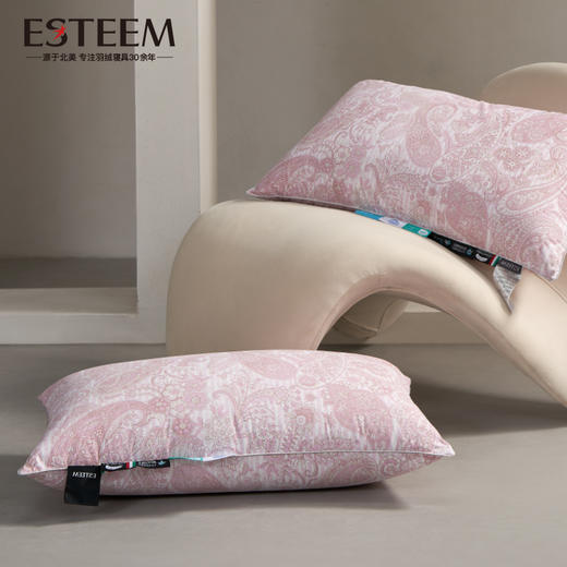 温莎传奇可水洗鹅绒枕 商品图1