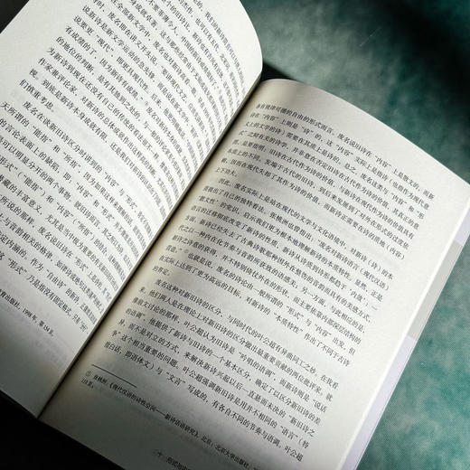 文体、翻译和新旧之争 中国新诗的现代性之路 大夏书系 陈太胜 商品图13