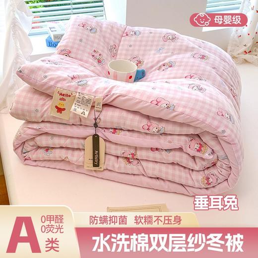 a类新款糯叽叽ins风双层纱水洗棉加厚冬被被子被芯 商品图7