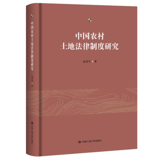 中国农村土地法律制度研究 / 高圣平 商品图0