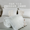 2025年秋冬新款雅芳婷蚕丝被100%桑蚕丝长丝冬被冬季保暖被子被芯 商品缩略图3