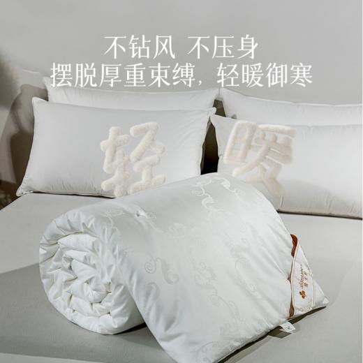 2025年秋冬新款雅芳婷蚕丝被100%桑蚕丝长丝冬被冬季保暖被子被芯 商品图3