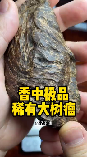 味道不输奇楠的沉香大树瘤子，金坚玉润，藏收级别的高货