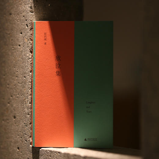 欣泣集 | 彭剑斌书写生命体验的青春之作，在漆黑的内心世界探寻、迷路，在绝望之巅照亮无边的虚无 商品图0