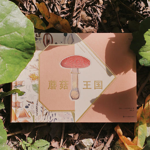 【复古艺术馆13】蘑菇王国 商品图1