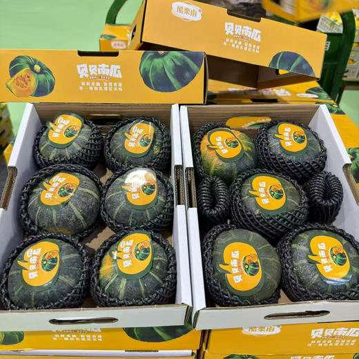 贝贝板栗南瓜 商品图5