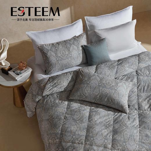 美泉新澜瞬吸可水洗鹅绒被两件套 商品图2