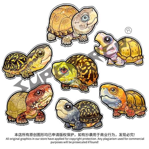 冰箱贴 龟主题⑧ 磁吸 Q版 卡通 箱龟题材 爬宠爬虫周边 super rep超爬正版【48小时发货】 商品图8