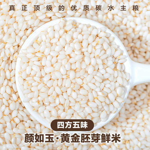 四方五味·颜如玉·黄金胚芽鲜米 商品图0