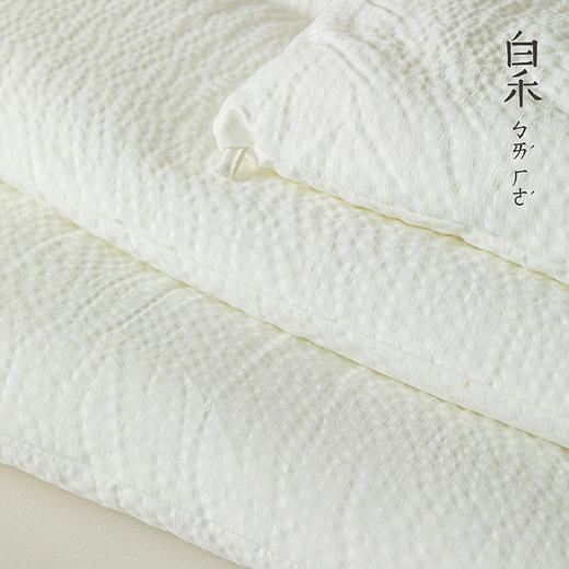 【白禾】A嘭嘭小棉朵冬被芯-中号 商品图3