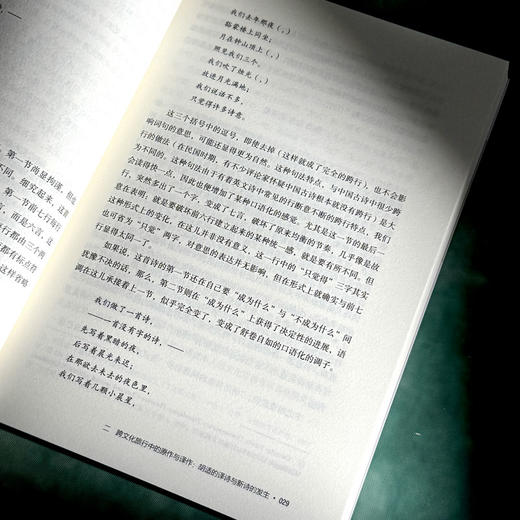 文体、翻译和新旧之争 中国新诗的现代性之路 大夏书系 陈太胜 商品图11