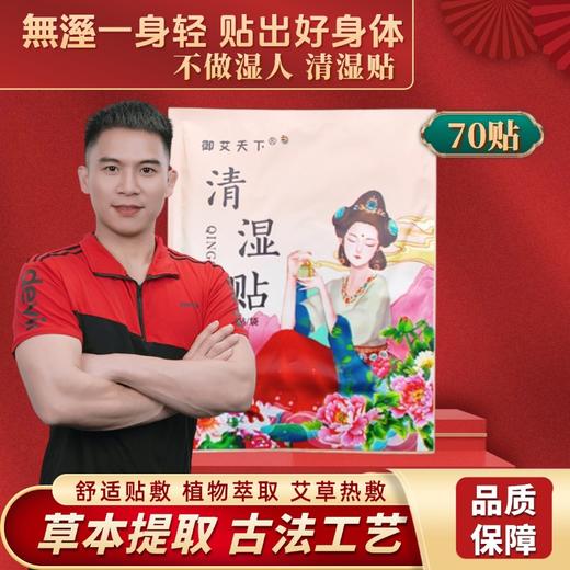 【大鹏】艾草清湿贴70贴 商品图0