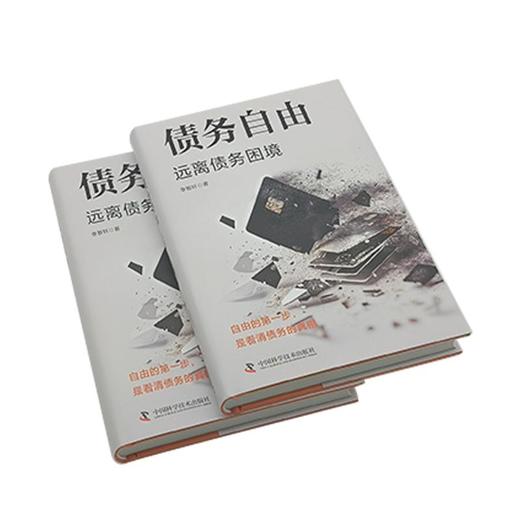 债务自由 远离债务困境 商品图3
