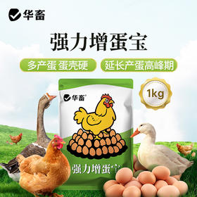 华畜强力增蛋宝蛋多多鸡鸭鹅产蛋宝芦丁鸡鸽子催蛋王改善蛋质