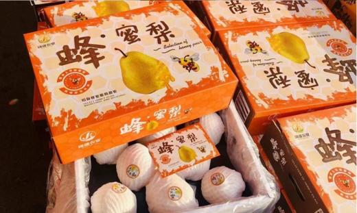 【会员26.5/2颗】山西隰县小蜜蜂蜂蜜梨 商品图0