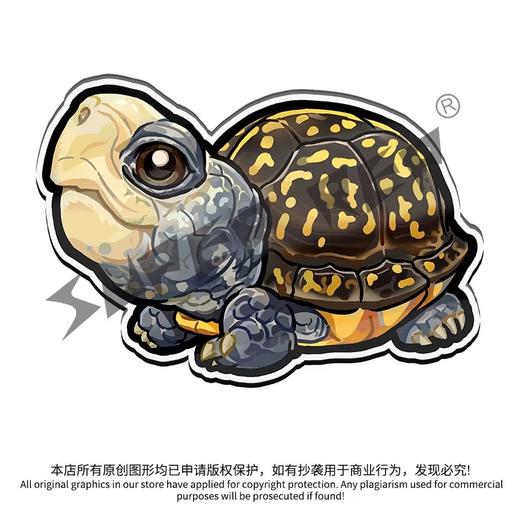 冰箱贴 龟主题⑧ 磁吸 Q版 卡通 箱龟题材 爬宠爬虫周边 super rep超爬正版【48小时发货】 商品图6