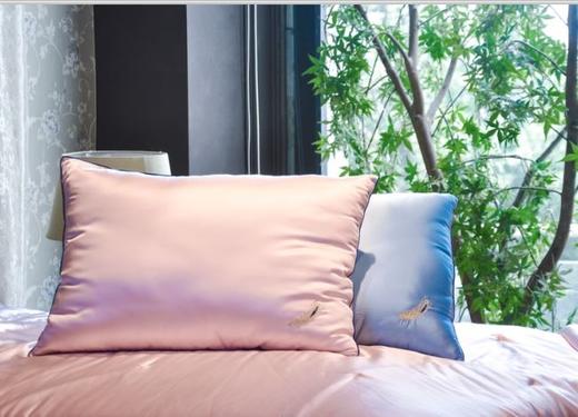10楼 梦洁 悦彩丝棉蚕丝对枕；吊牌价1699活动价499/对 商品图0