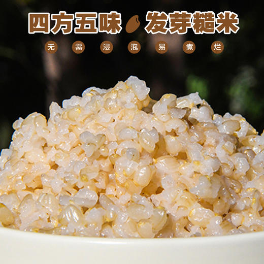 四方五味·发芽糙米 商品图3