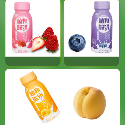 大豆植物酸奶(纯素酸奶)    0胆固醇 营养好喝 老少皆宜 商品图3