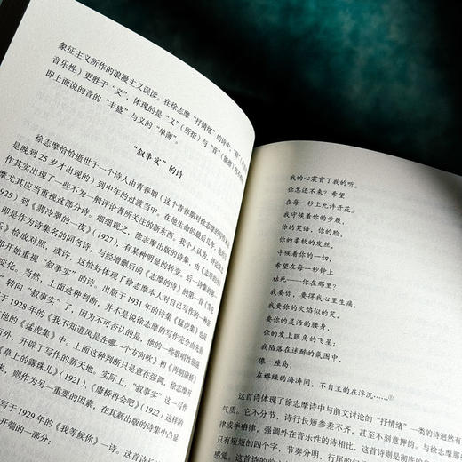 文体、翻译和新旧之争 中国新诗的现代性之路 大夏书系 陈太胜 商品图9