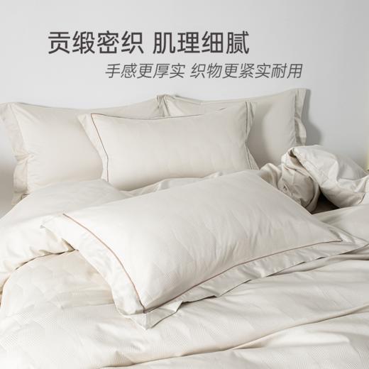 2025年秋冬新款雅芳婷全棉贡缎四件套纯棉肌理床笠款被套轻奢套件 商品图2