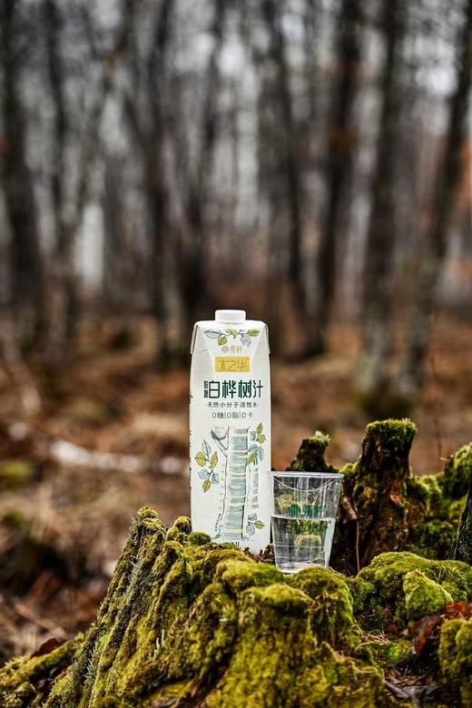 嘉桦纯白桦树汁水饮料有机森林桦树原液植物饮品2.5L盒装(非浓缩)【顺丰发出退货需支付实际拦截费用】 商品图10