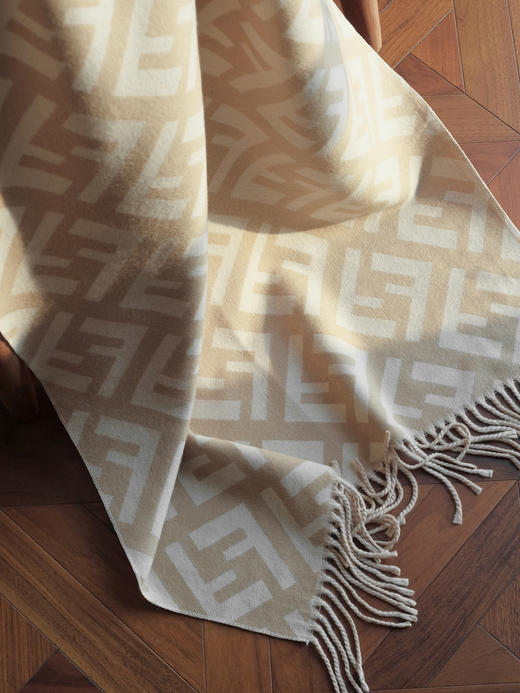 WJ14-芬迪 流苏饱满提花 绒线围巾 女款（QZ*MM） 商品图4