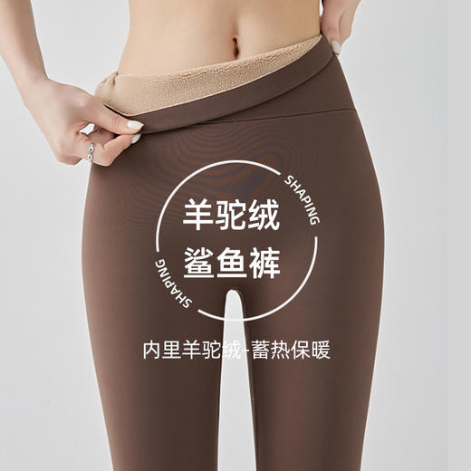 加绒加厚无尴尬线鲨鱼裤女外穿打底裤高腰收腹显瘦秋冬芭比瑜伽裤 商品图0