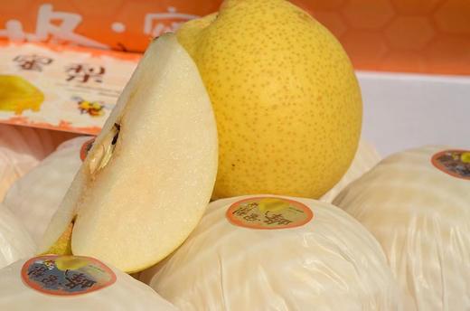 【会员26.5/2颗】山西隰县小蜜蜂蜂蜜梨 商品图4