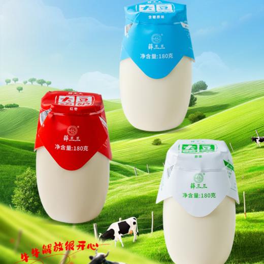 素食大豆酸奶 薛三三 非转基因大豆矿泉水磨浆 早餐代餐奶 商品图4