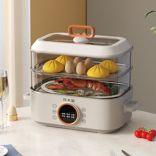 炊大皇多功能电蒸锅CDH-ZG1318—rxs 商品图0