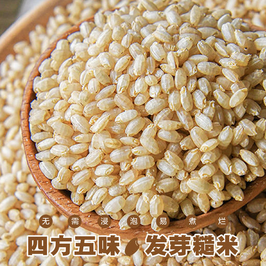 四方五味·发芽糙米 商品图2