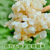 四方五味·发芽糙米 商品缩略图1