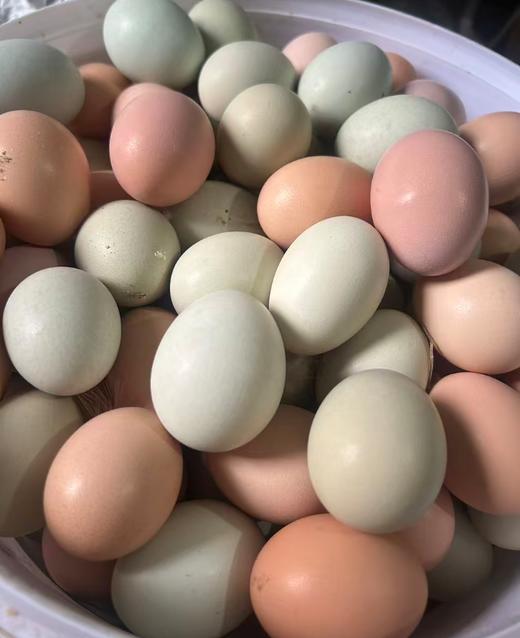 2025凉水河土鸡蛋（枚） 商品图0