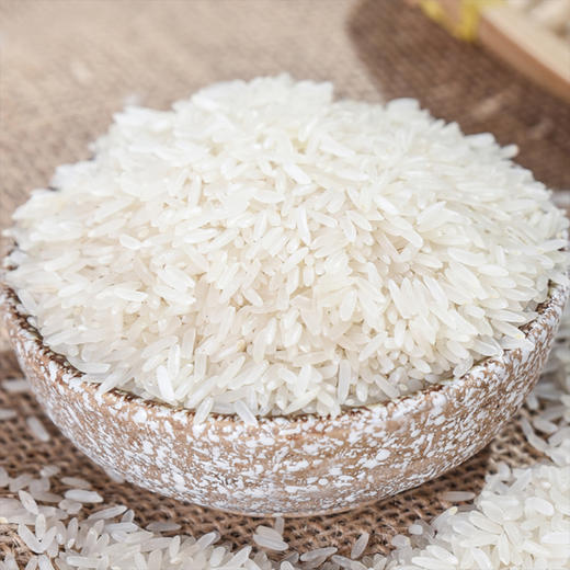 曼哈浓香泰国乌汶茉莉香米 500g 商品图3