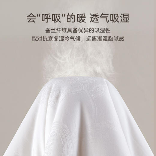 2025年秋冬新款雅芳婷全棉蚕丝冬被加厚保暖四季被冬季被子被芯 商品图3