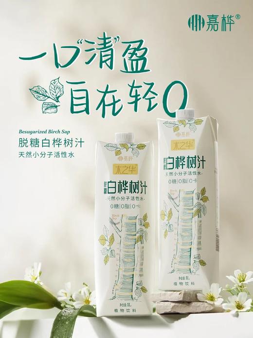 嘉桦纯白桦树汁水饮料有机森林桦树原液植物饮品2.5L盒装(非浓缩)【顺丰发出退货需支付实际拦截费用】 商品图12