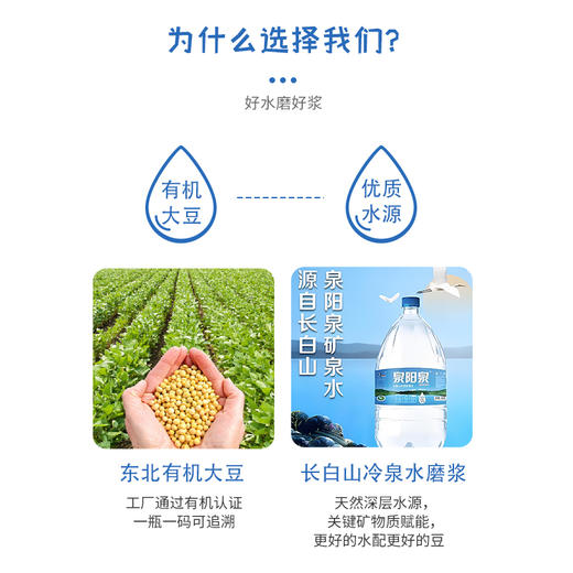 素食有机发酵原浆豆乳 （矿泉水磨浆）原味 乳酸菌发酵 商品图1