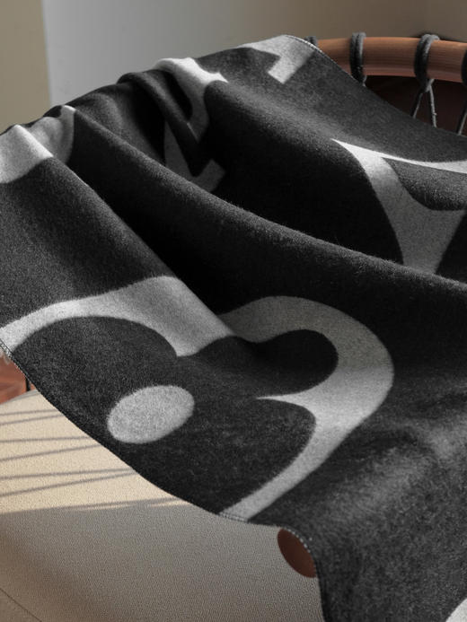 WJ28-LV新款围巾、披肩（QZ*MM） 商品图3